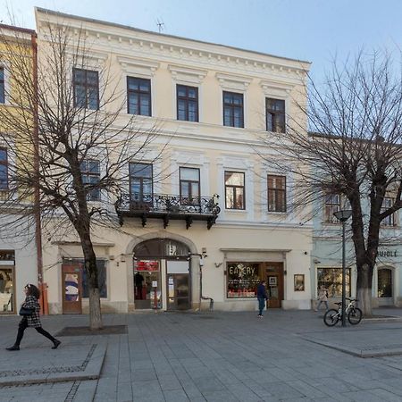 Cluj Lux Apartment Unirii 外观 照片