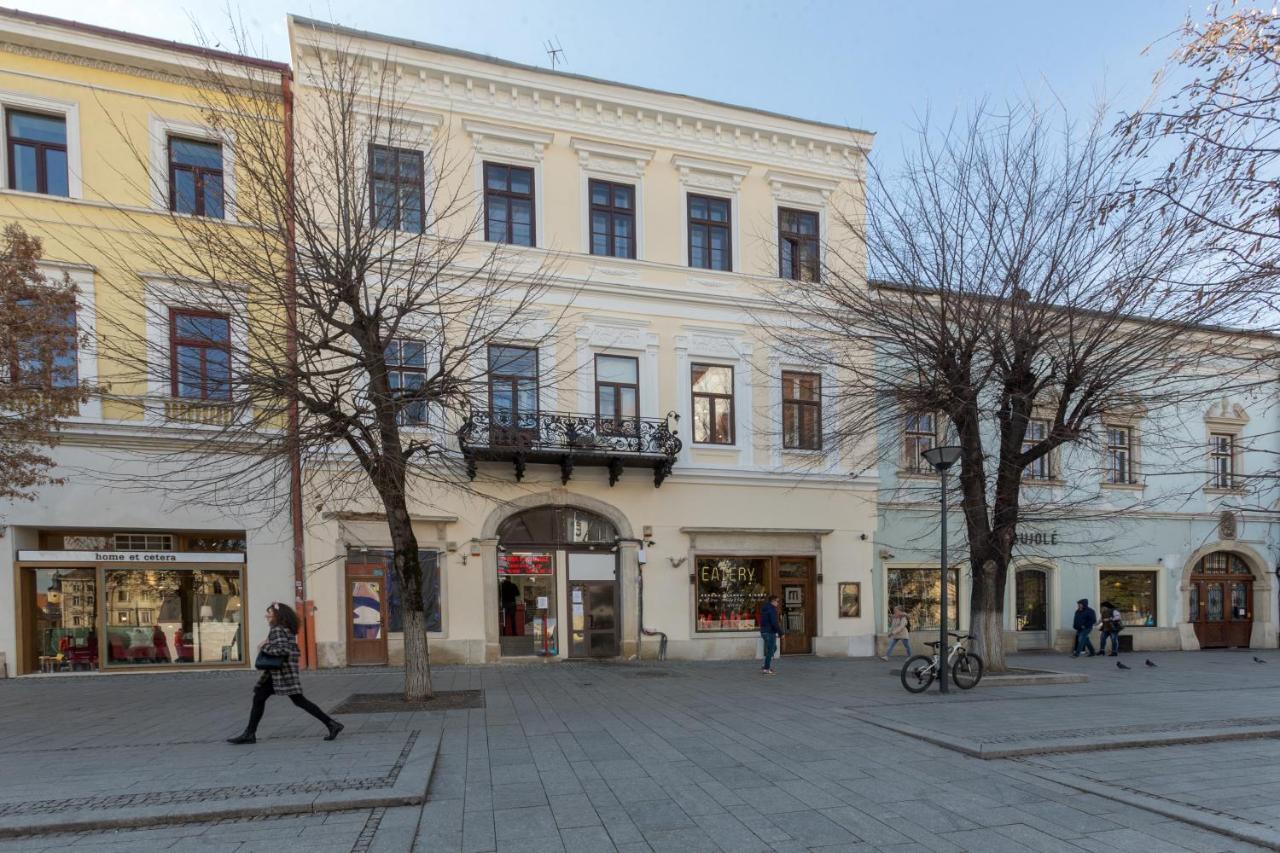 Cluj Lux Apartment Unirii 外观 照片